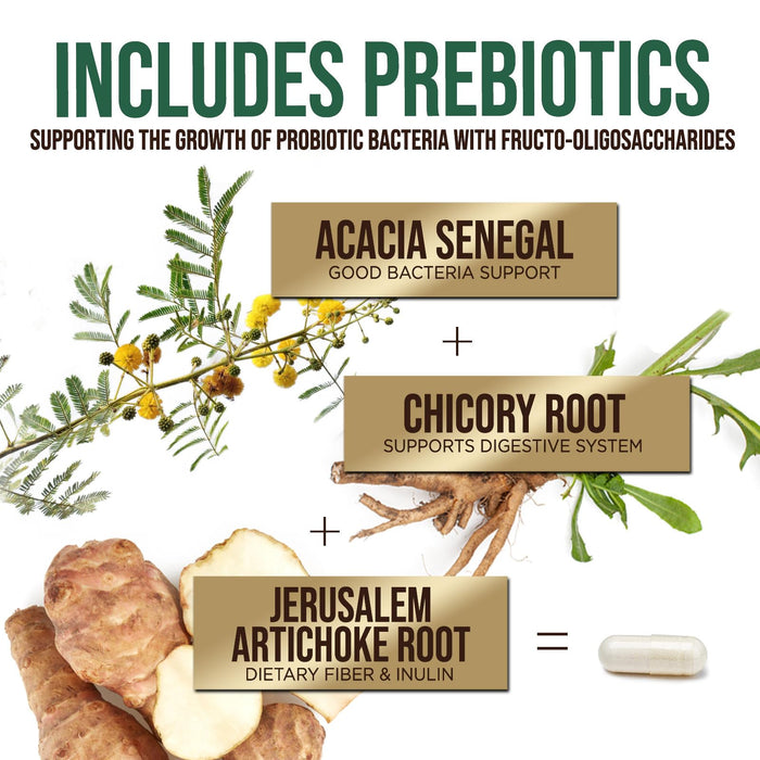 Probiotics 50 Billion CFU + 10 Strains - Daily Probiotic Lactobacillus Blend for Immune, Digestive & Gut Health Support, Prebiotics and Probiotics, Gas & Bloating for Women & Men - 120 Capsules